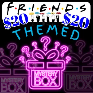 $20 - MYSTERY BLIND BOX/ BAG - "FRIENDS THEMED"