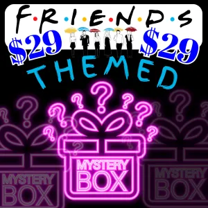 $29 - MYSTERY BLIND BOX/ BAG - "FRIENDS THEMED"
