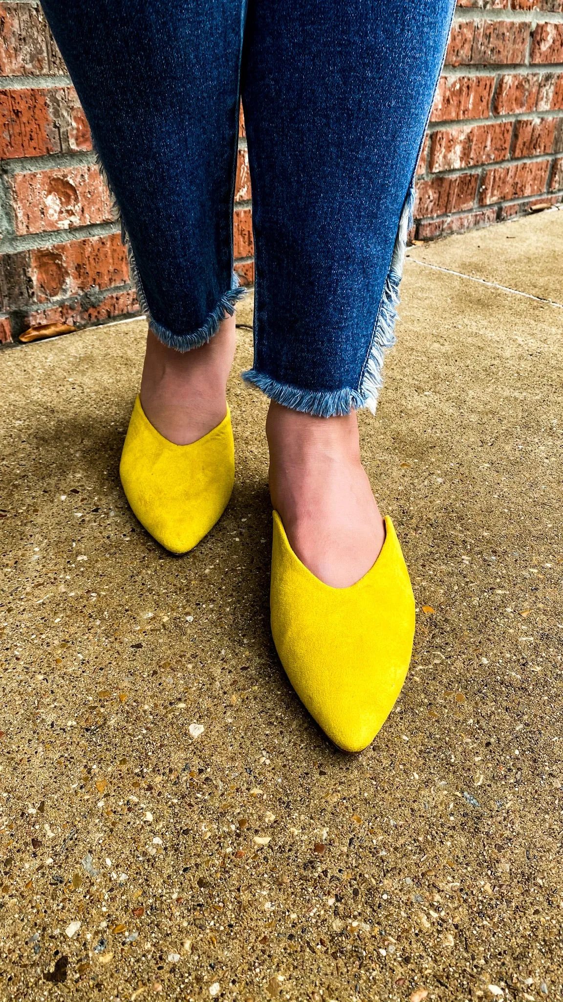 Bella Vita Mules: Mustard