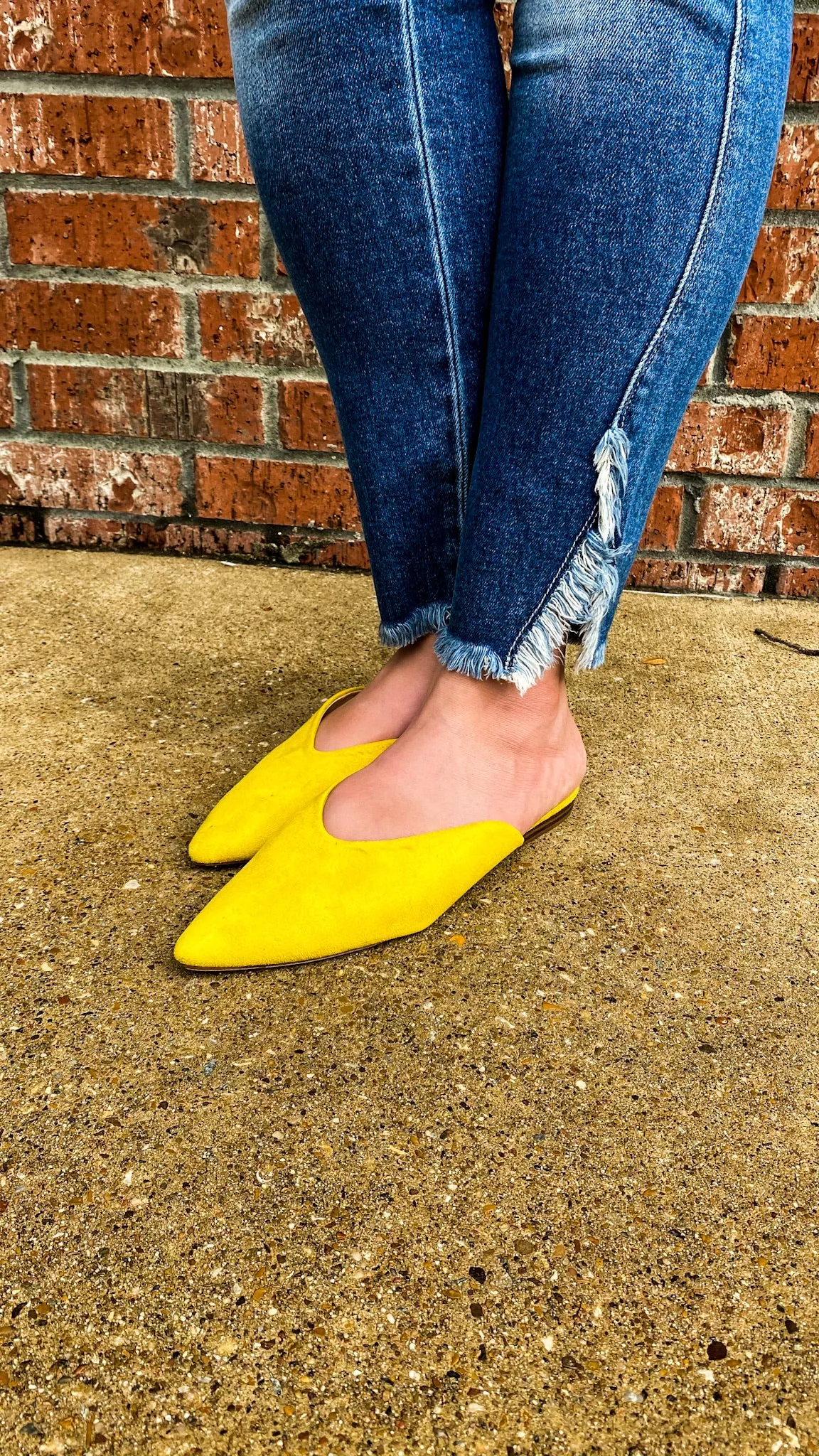 Bella Vita Mules: Mustard