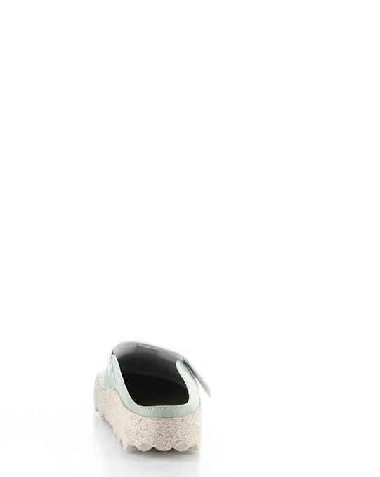 CLEARANCE - Asportuguesas - Cole
