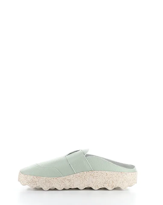 CLEARANCE - Asportuguesas - Cole