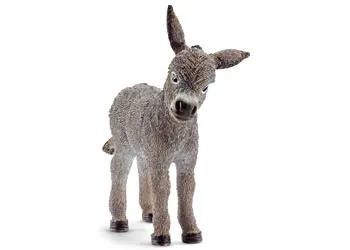 Donkey Foal