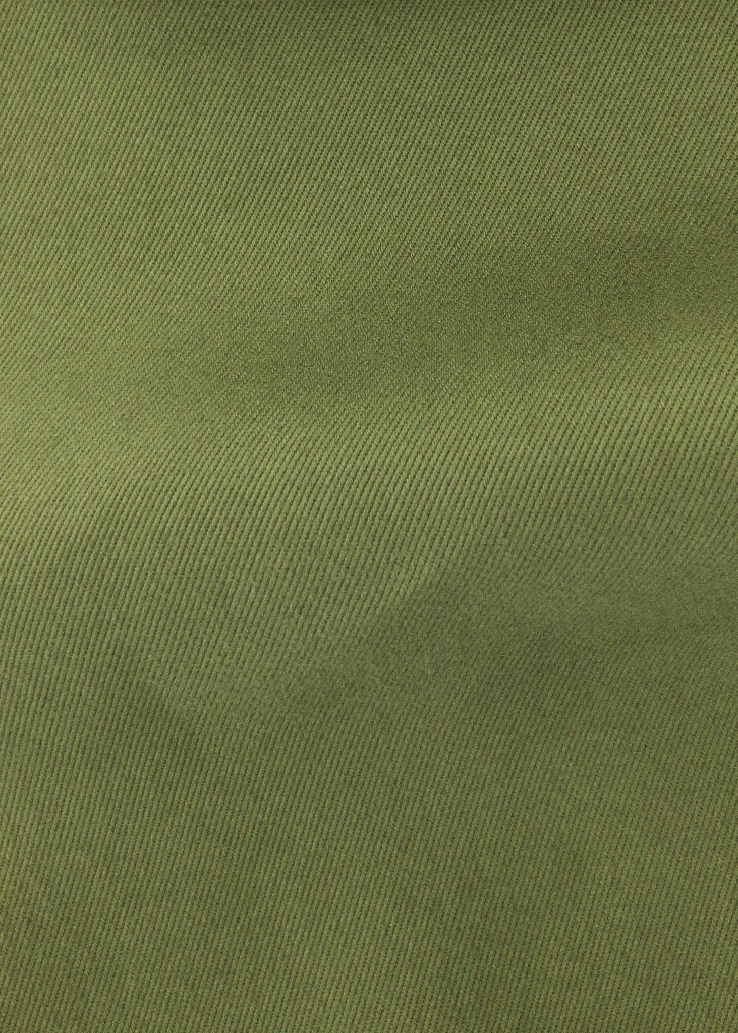 English Cotton 2pc Suit