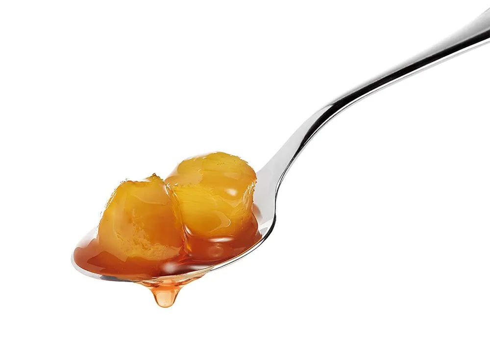 Fabbri Ginger with Syrup - 21 oz (600g)