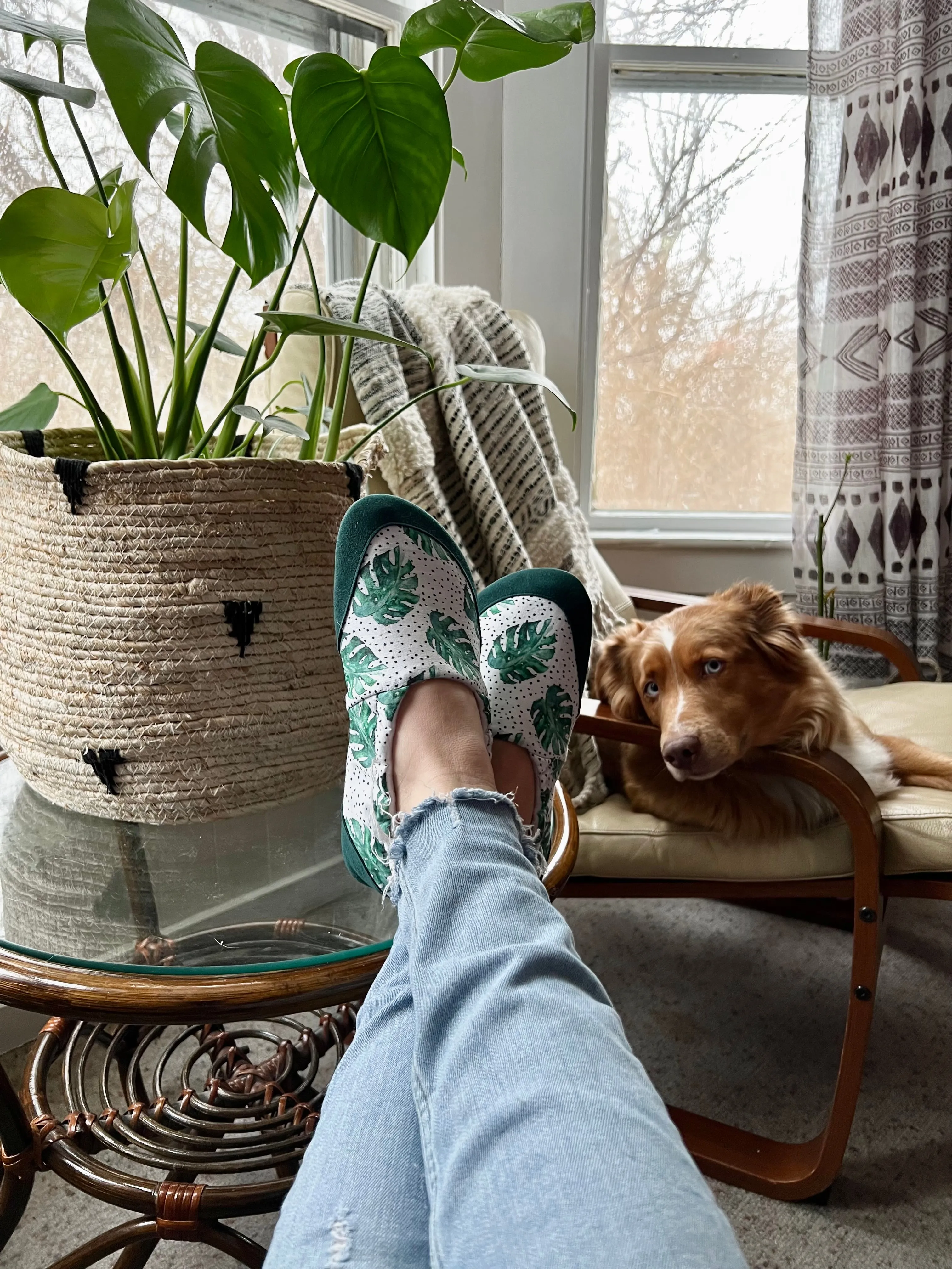 JadyLadys - Slip on shoe - Momma monstera