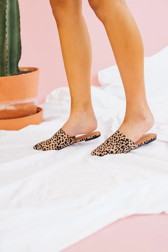 Sasha Mules