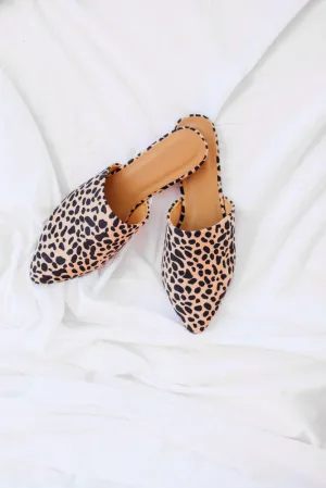 Sasha Mules