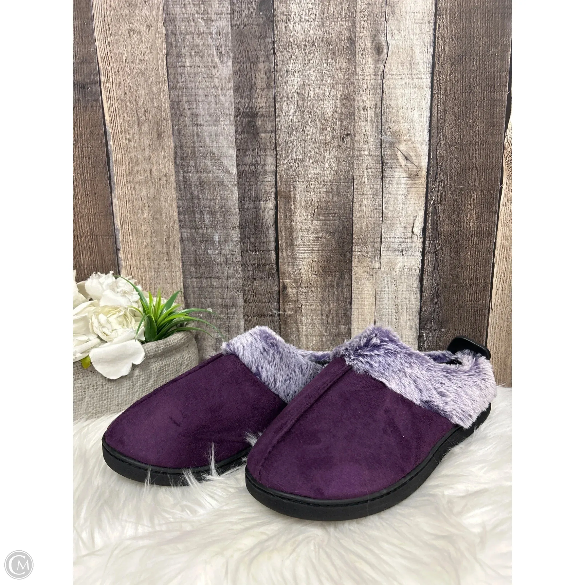 Slippers By Cmf In Purple
