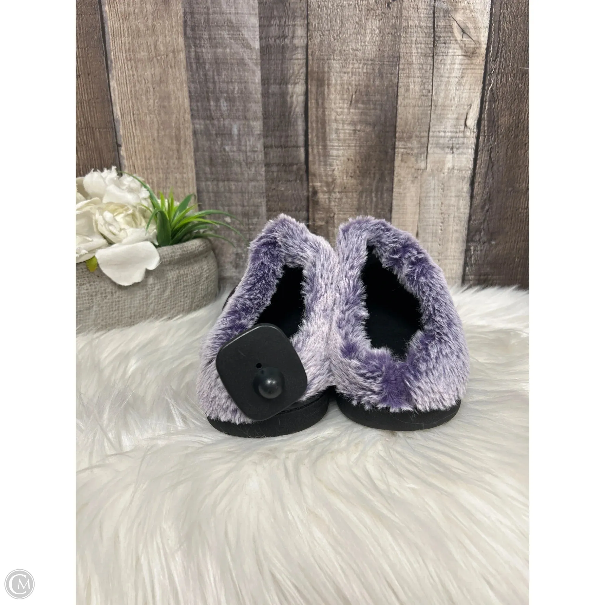 Slippers By Cmf In Purple