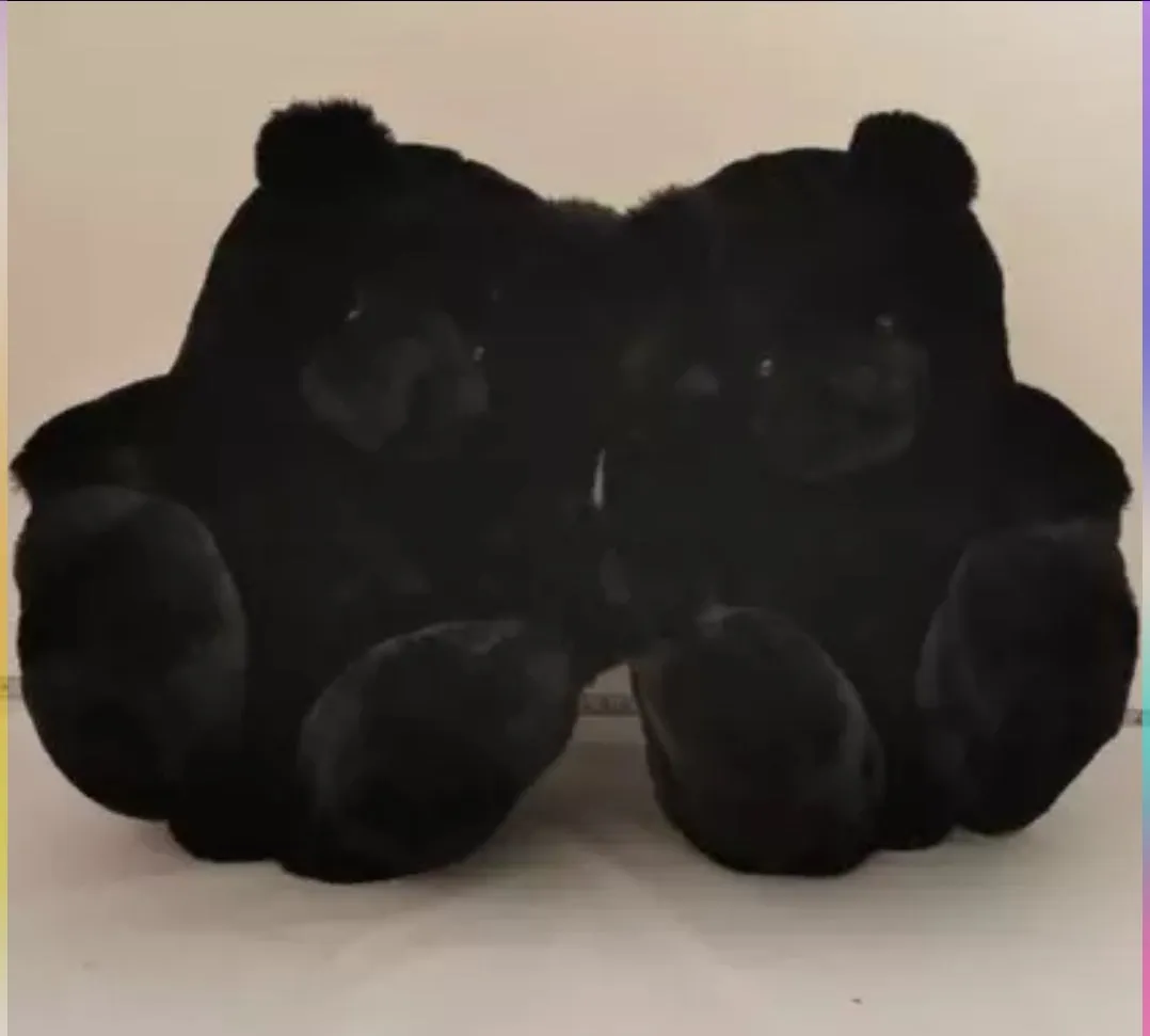 Teddy