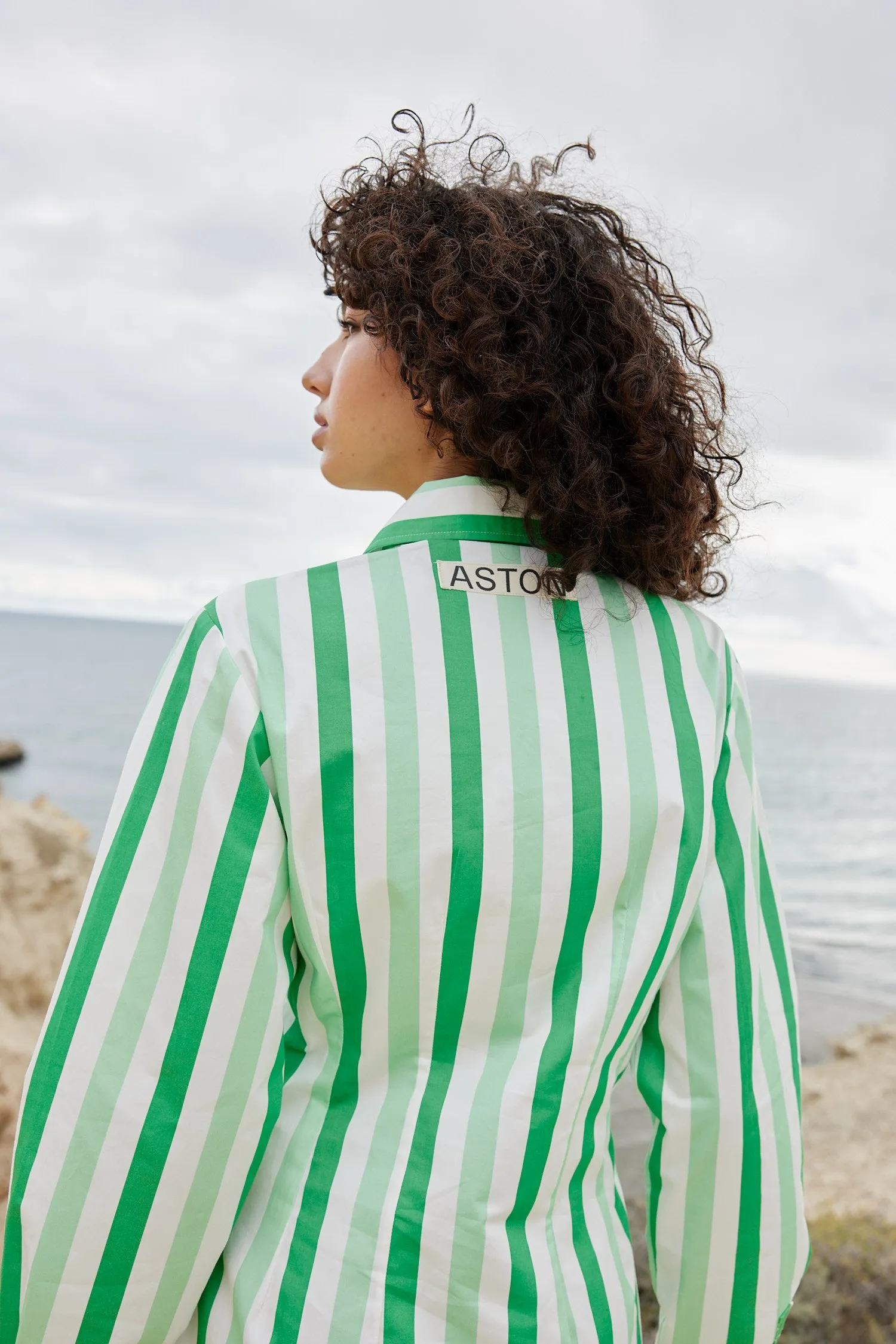 THE FINN SHIRT DRESS IN MIDORI STRIPE