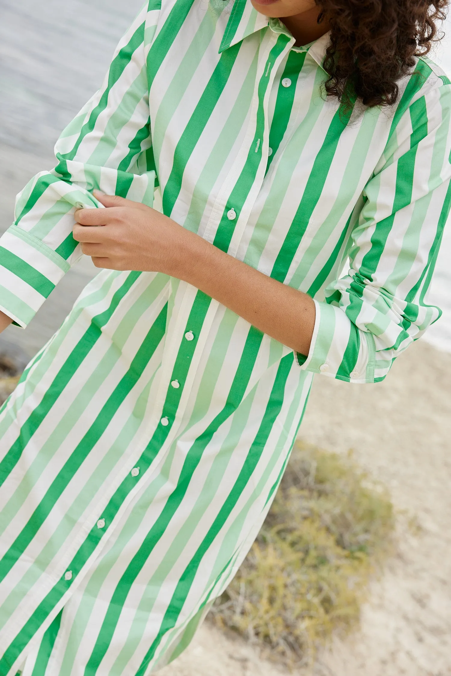 THE FINN SHIRT DRESS IN MIDORI STRIPE