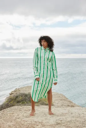 THE FINN SHIRT DRESS IN MIDORI STRIPE