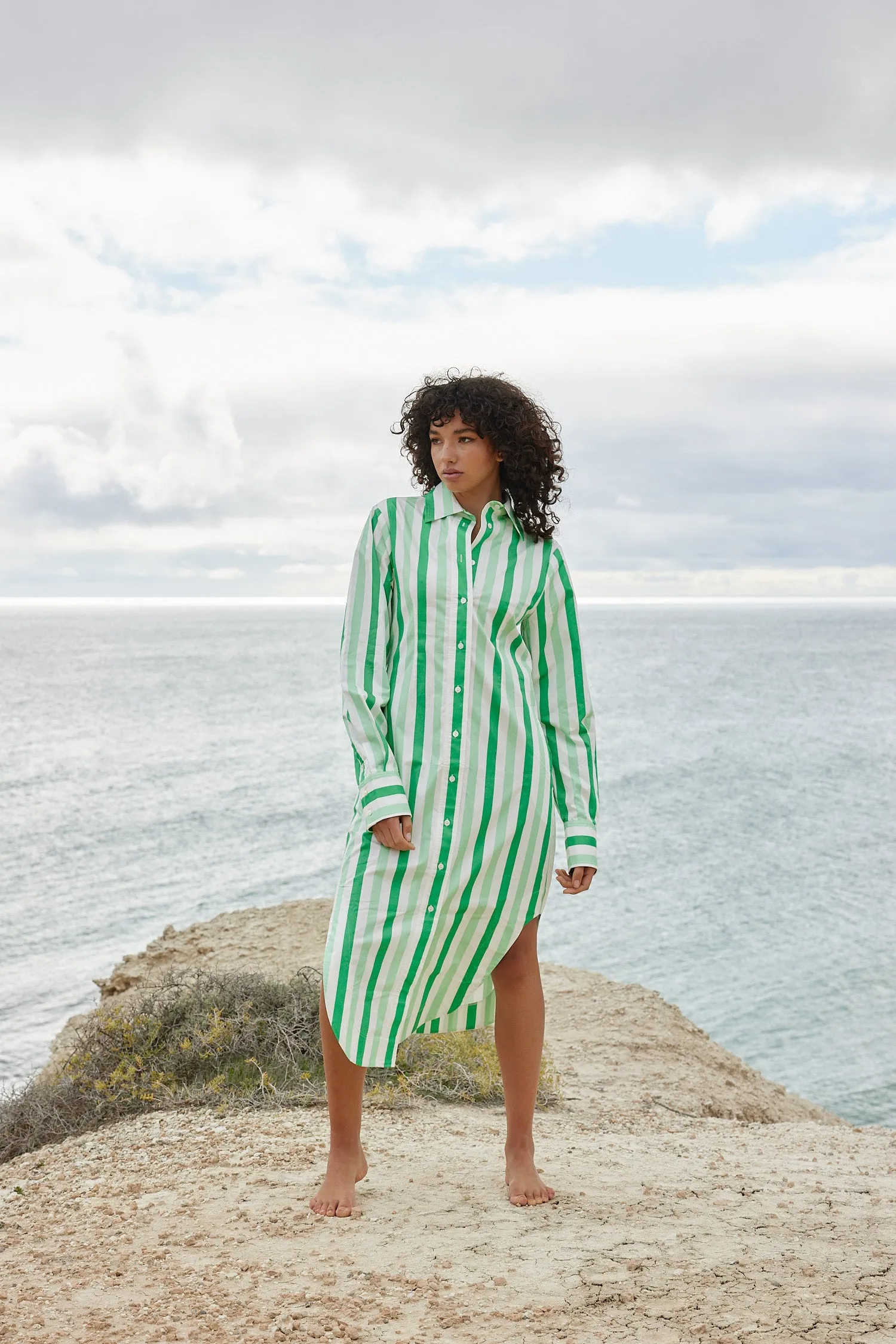 THE FINN SHIRT DRESS IN MIDORI STRIPE