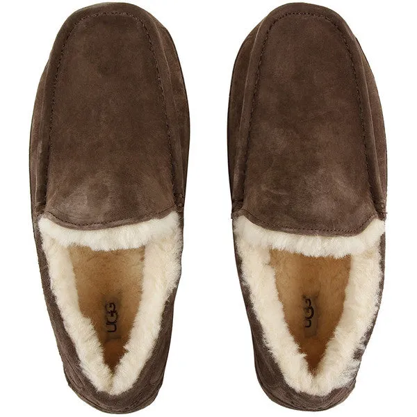 UGG Men's Ascot Slipper | Espresso